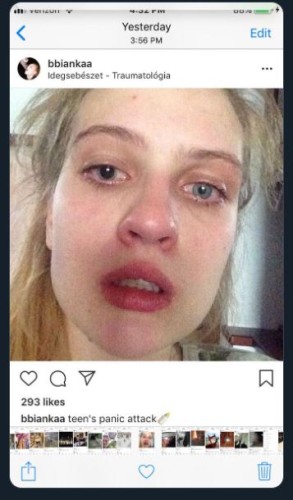 Knipsel.JPG