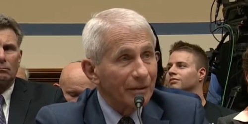 original_fauci_(2).jpeg