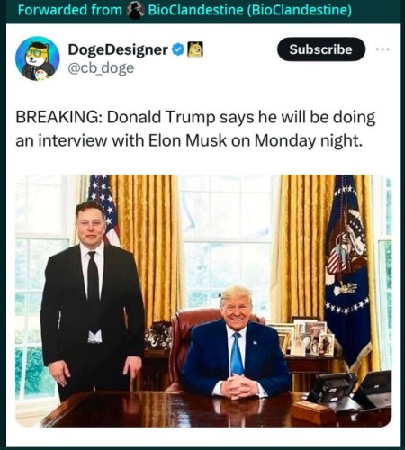 Knipsel.JPG