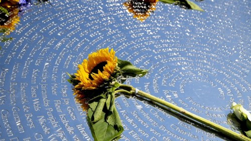2025-02-12 17.59.26.jpg