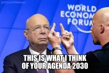 2025-02-27 17.40.20.jpg