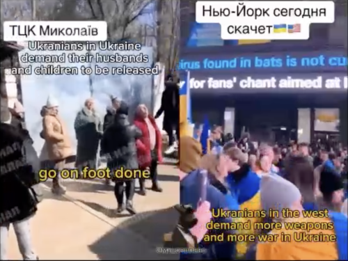 afbeelding.png