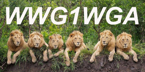WWG1WGA_Lions.jpg