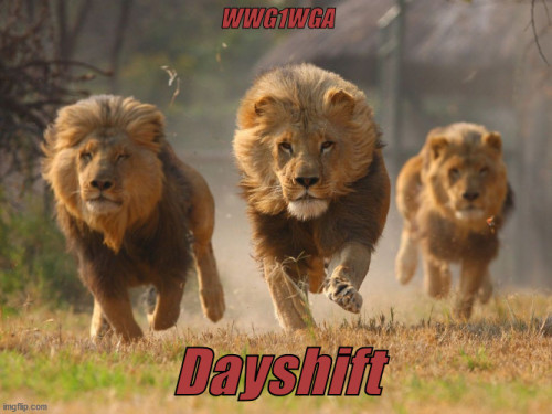 WWG1WGA_Lions_DayShift.jpg