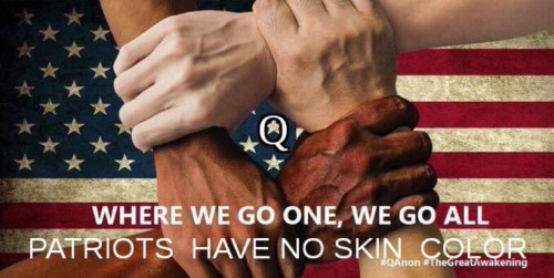 WWG1WGA_Patriots_Have_No_Skin_Color.jpg