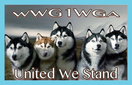WWG1WGA_United_We_Stand.jpg