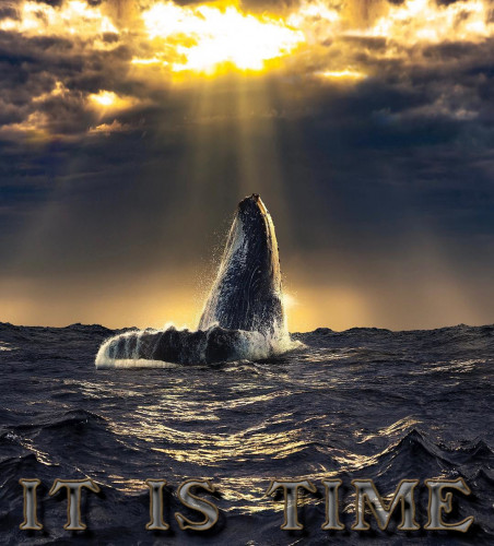 It_Is_Time_Whale.jpg