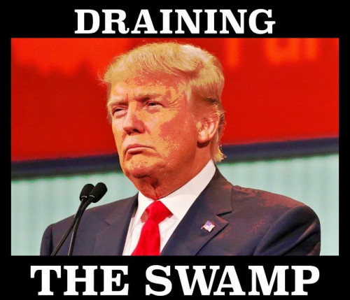 Trump_Draining_The_Swamp.jpg
