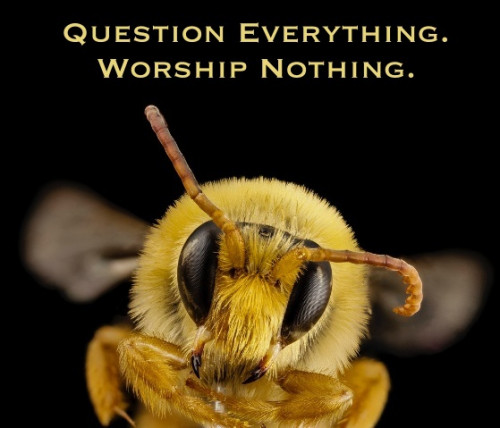 Question_Everything_Worship_Nothing.jpg
