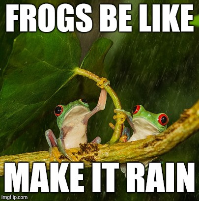 Frogs_Make_It_Rain.jpg
