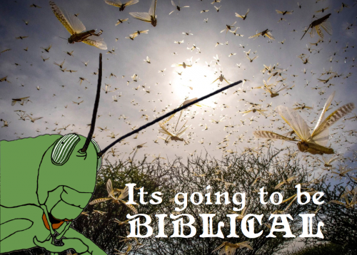 pepe_locust_swarm_its_going_to_be_biblical_q.png