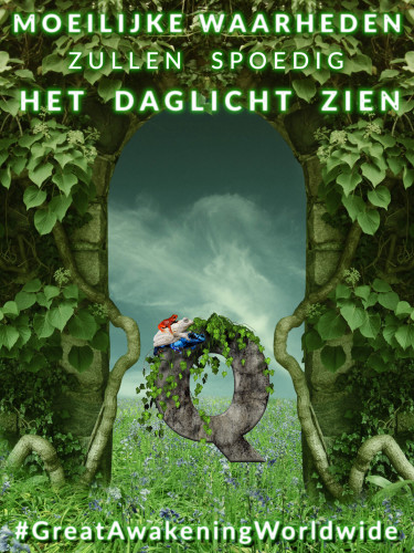 NL_Q_Moeilijke_Waarheden_Zullen_Spoedig_Het_Daglicht_Zien.jpg