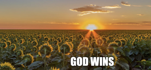 God_Wins_Sunflowers.png