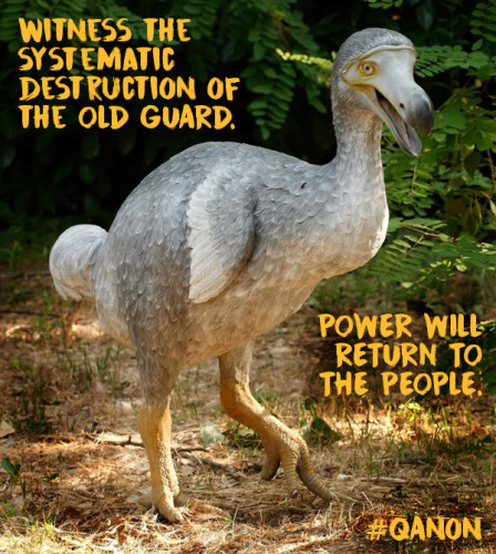 Systematic_Destruction_Old_Guard_Dodo.jpg