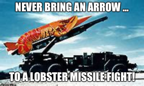 Never_Bring_Arrow_To_Lobster_Missile_Fight.png