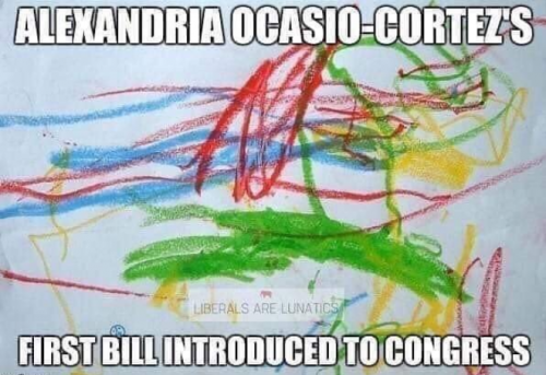 AOC_First_Bill_Introduced_To_Congress.png