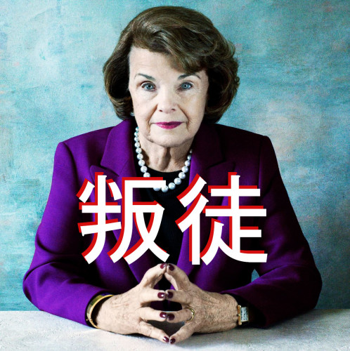 Feinstein_Chinese.jpg