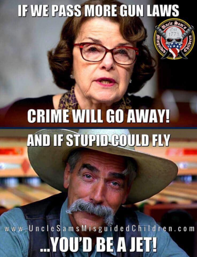 Feinstein_Gun_Laws.png