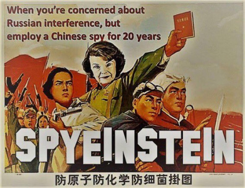 Feinstein_Spyeinstein.jpg