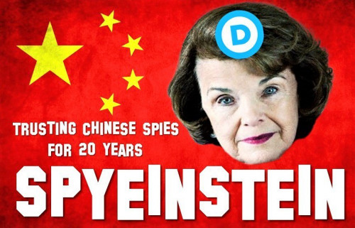 Feinstein_SpyEinstein2.jpg