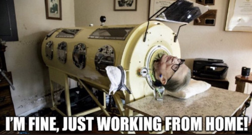 RBG_Fine_Working_From_Home.jpg
