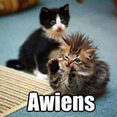 Awiens.jpg