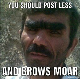 Post_Less_Brows_Moar.png