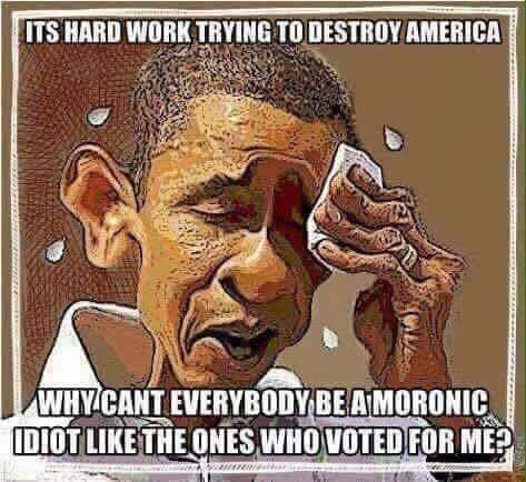 Obama_Destroy_America2.jpg