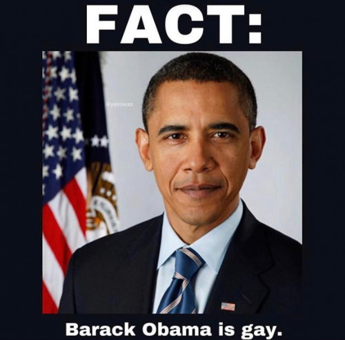 ObamaGay.jpg