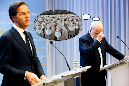 Rutte_Dissel_Sheeple_Masked.png