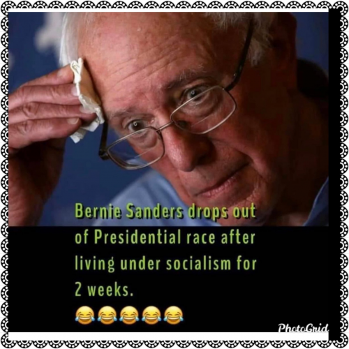 Sanders_Socialism.png