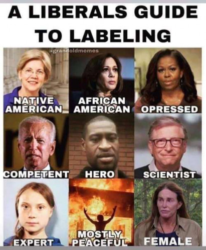 liberals_guide_to_labeling.jpg