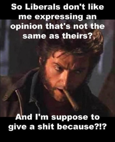 Liberals_Opinion_Suppose_To_Give_A_Shit.png