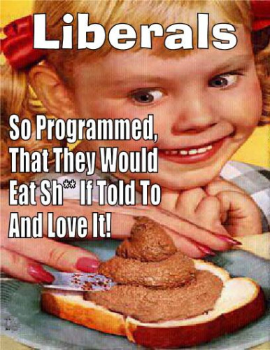 Liberals_Programmed.jpg