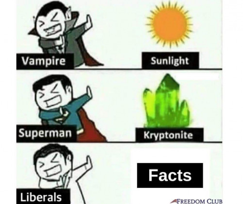 Liberals_vs_Facts.jpg