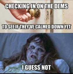 Demoncrats_Not_Calmed_Down_Yet.png