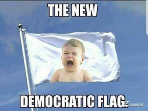 The_New_Democratic_Flag.png