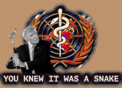 WHO_You_Knew_It_Was_A_Snake.png