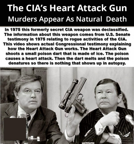 CIA_Heart_Attack_Gun.jpg