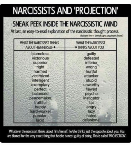 Narcissists_Projection.png