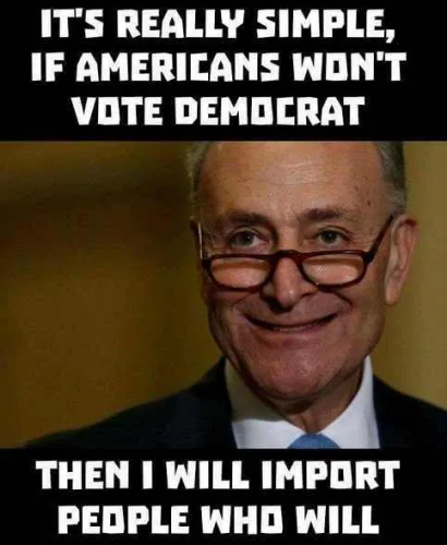 Schumer_Import_Voters.png