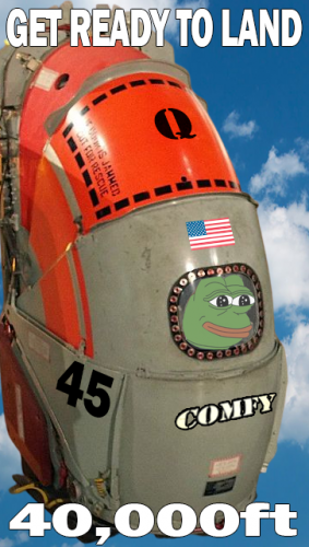 40000ft_Ready_To_Land_Pepe_Comfy.png