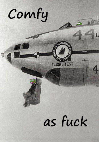 Comfy_As_Fuck_Pepe_Plane.jpg