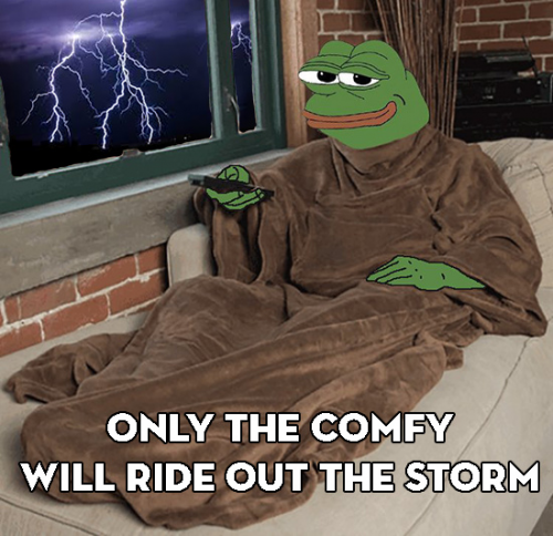 Only_The_Comfy_Ride_out_The_Storm.png