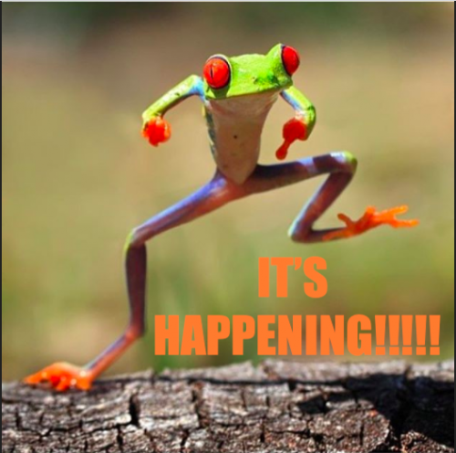 It_s_Happening_Frog.png