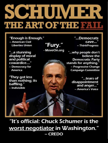 Schumer_Art_Of_The_Fail.png
