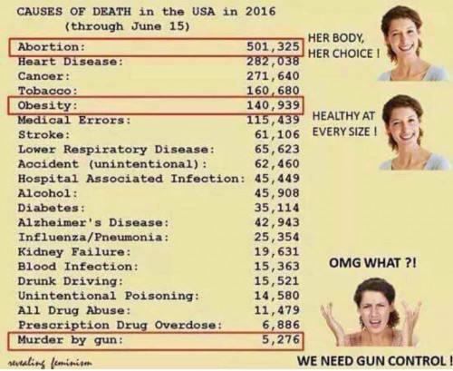 gun_control_democrats.jpg