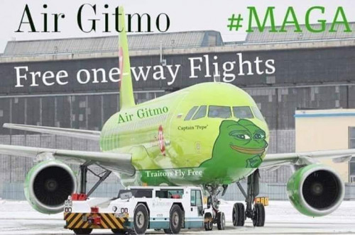 Pepe_Air_Gitmo.jpg