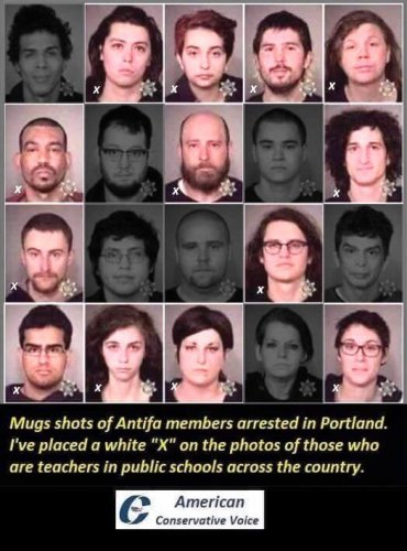 Antifa_Members_Public_School_Teachers.png
