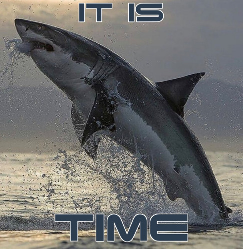 It_Is_Time_Shark.jpg